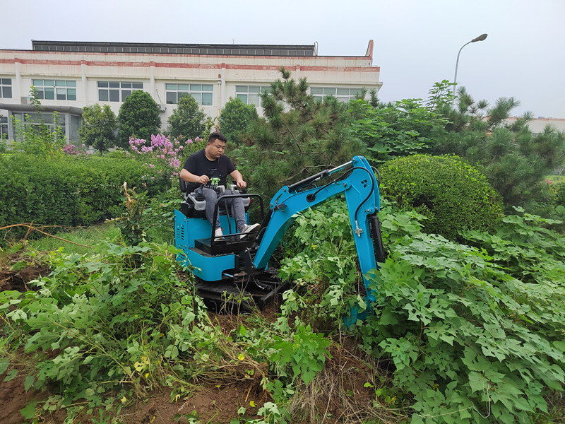 China mini excavator price