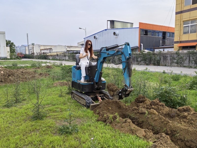 What can a small excavator do