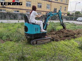 What can a small excavator do? What are the pit digging skills of small excavators?