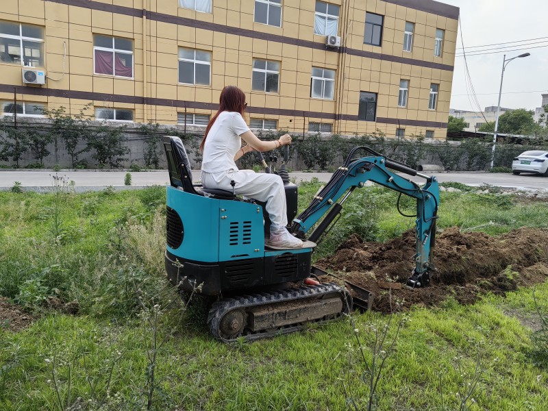 mini agricultural excavator