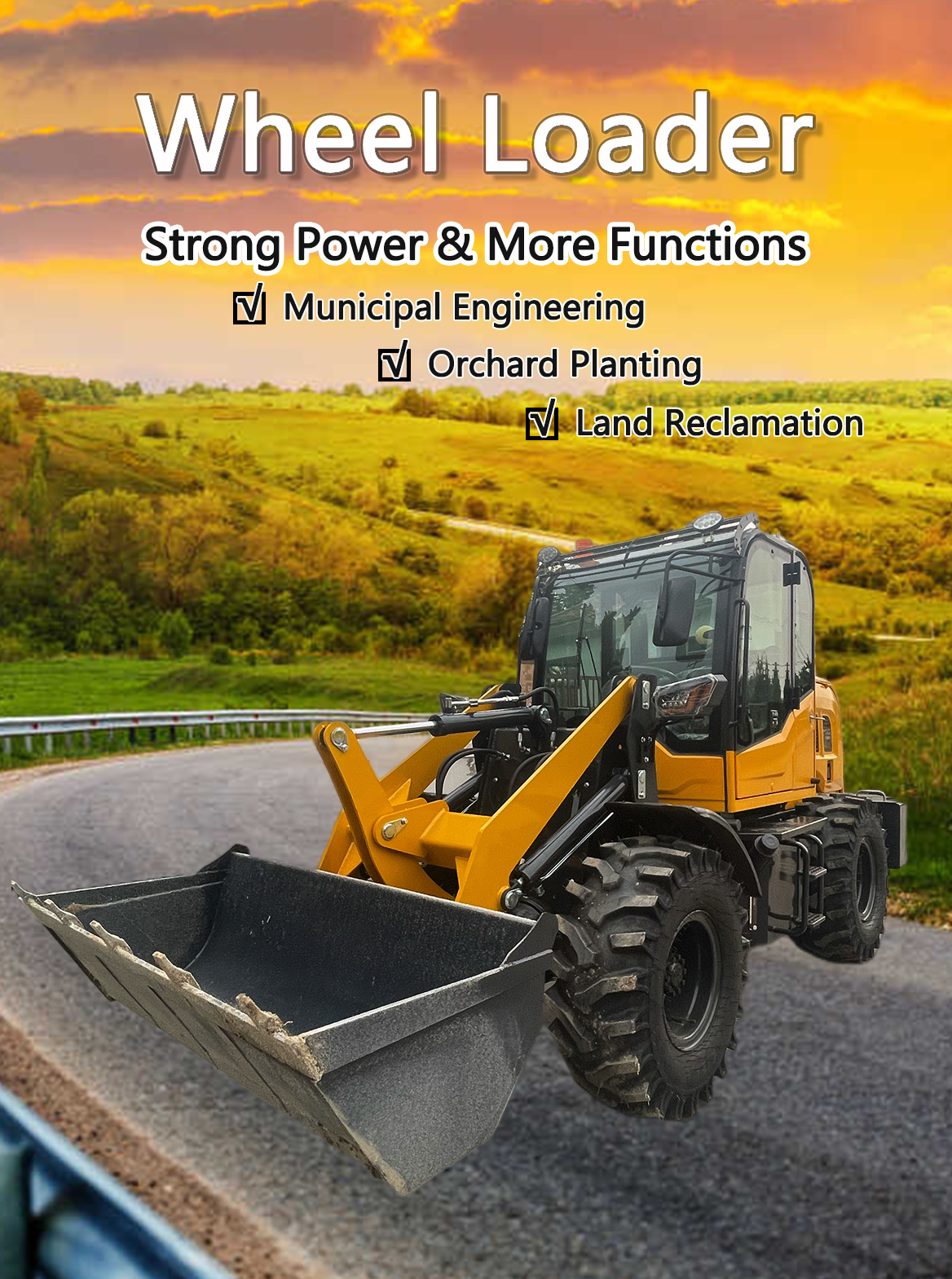 20 Model Wheel Loader