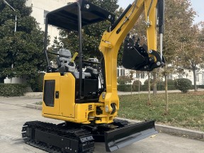 How is the price of micro excavator
