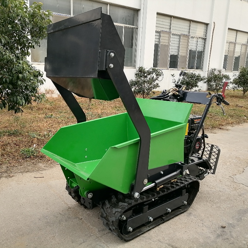 Mini Dumper-LG0302CZ