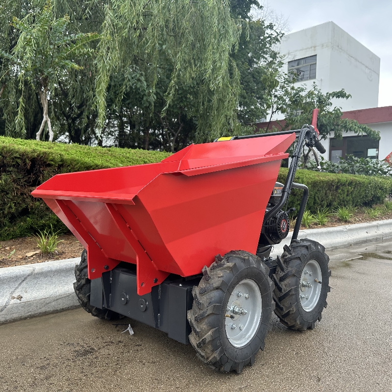 Small wheel dump truck